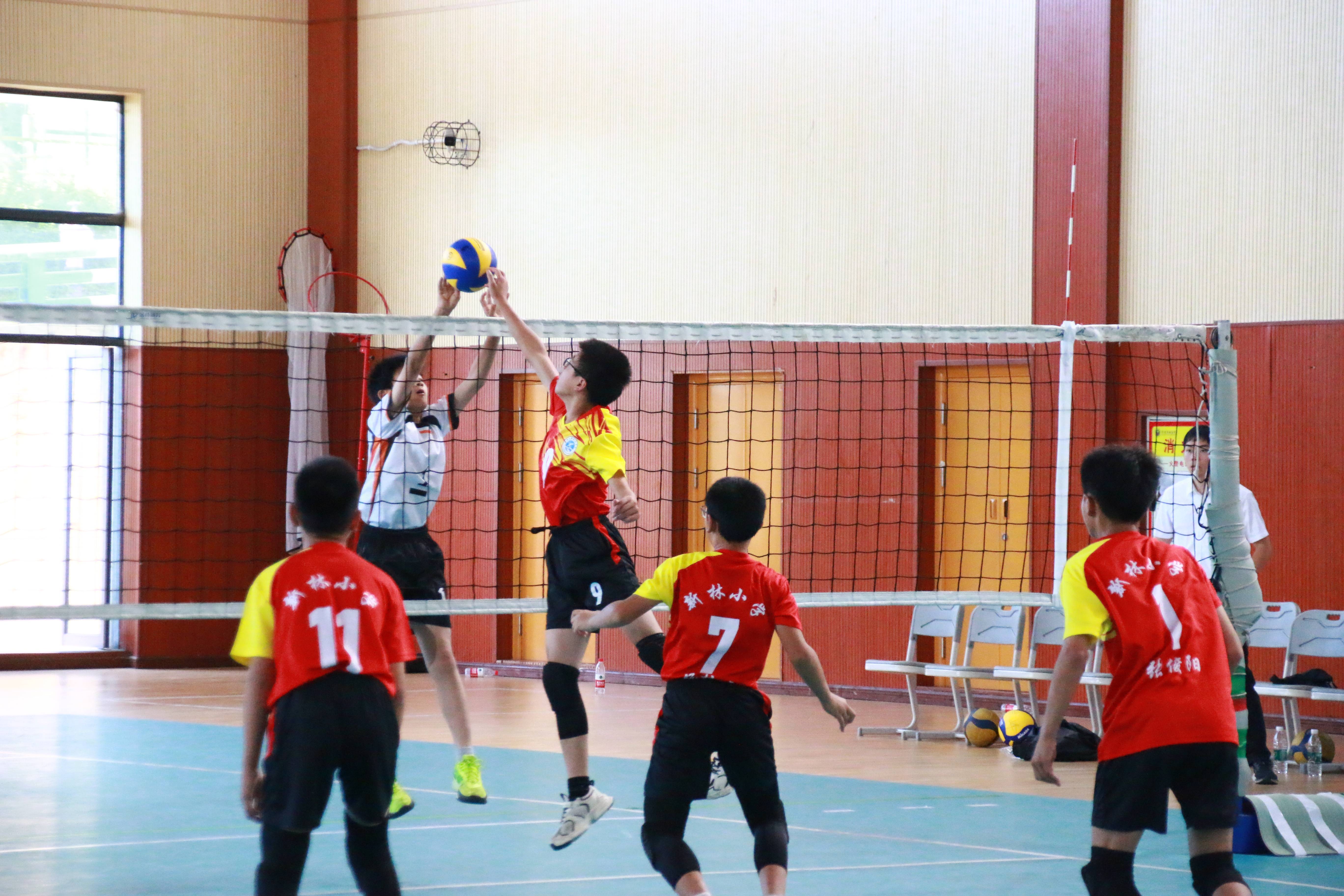 开云体育官网-包含体育赛事热烈进行，球员斗志昂扬勇拼实力的词条