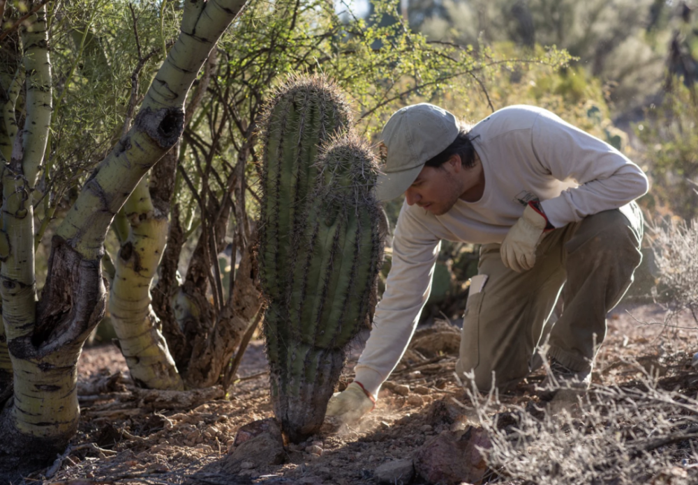 关于亚联赛卖扛附近沙地吉离手潮助掌的信息