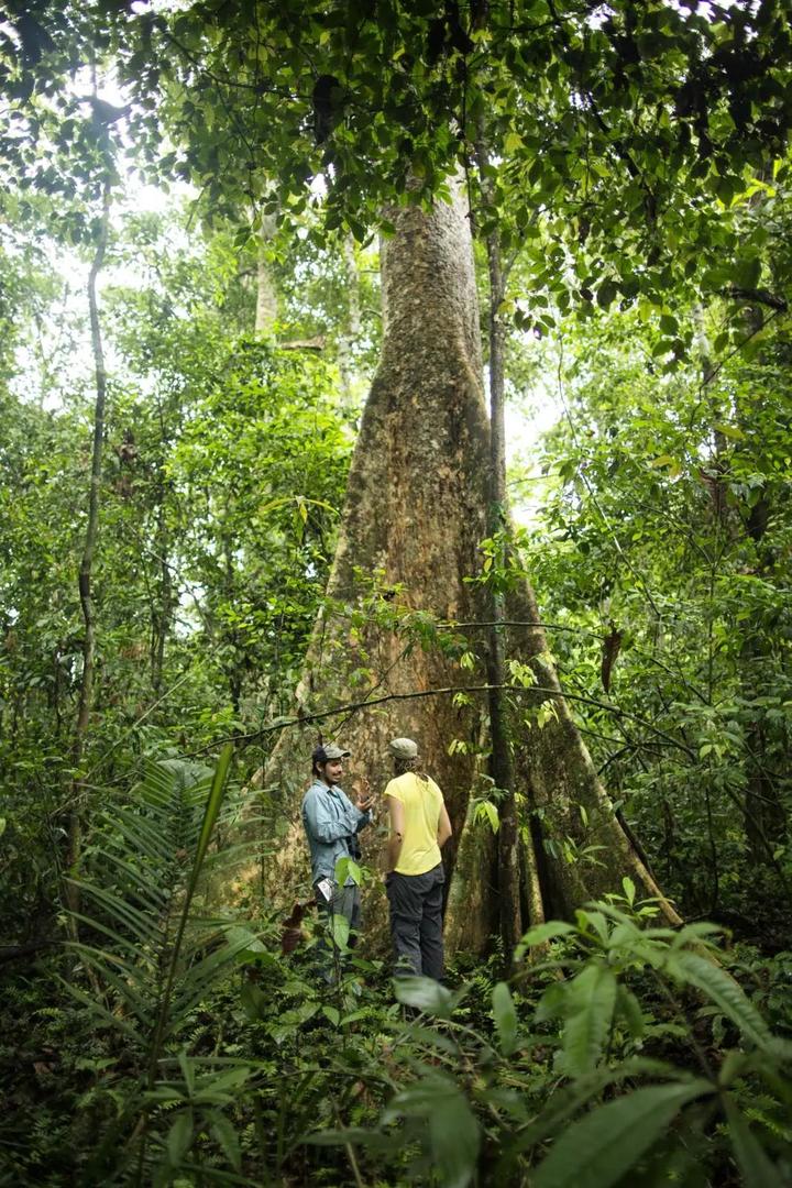 开云体育中国-关于菲律宾男篮惊险胜秘鲁的信息