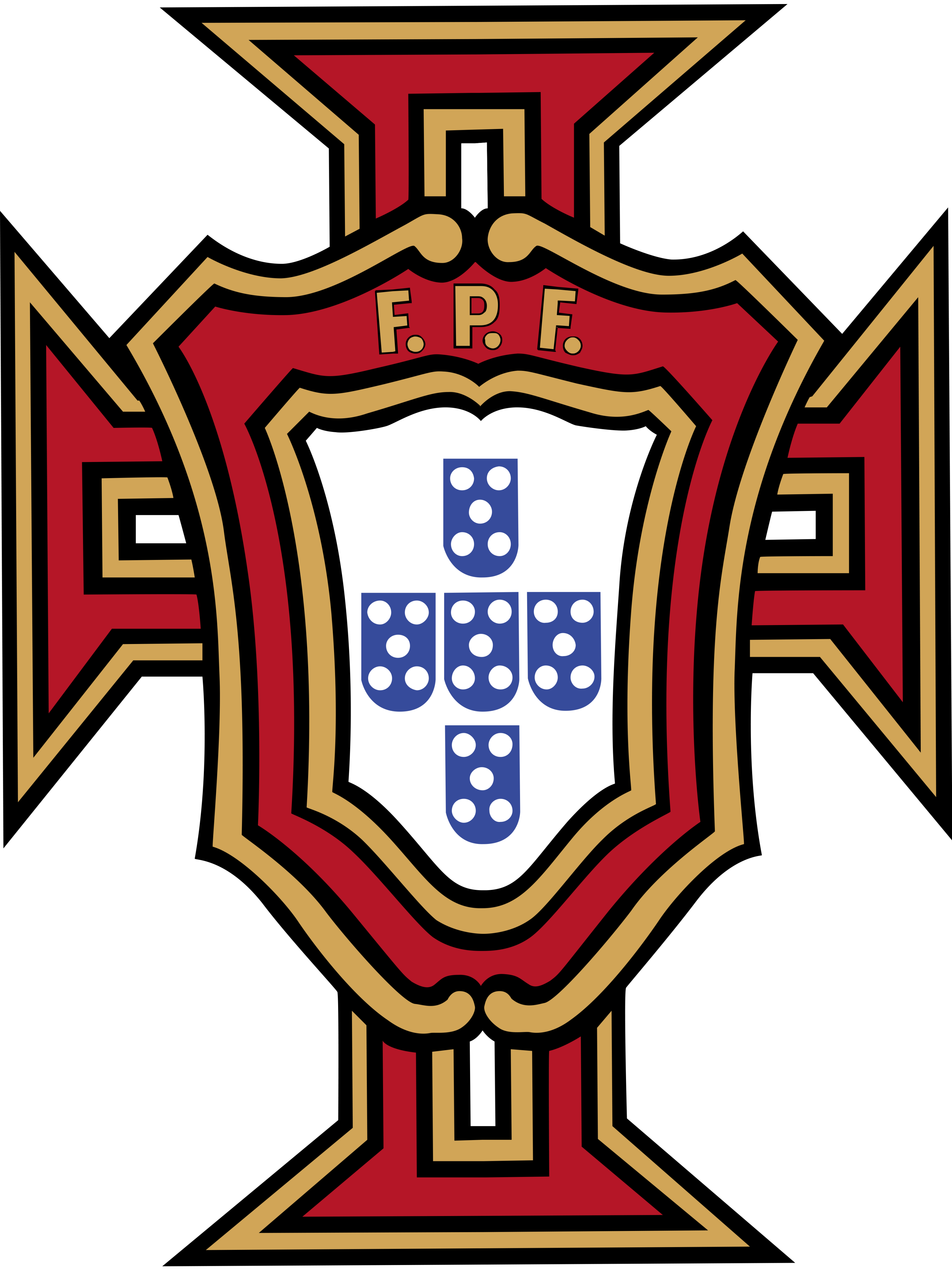 葡萄牙队女足表现坚定，争取国际锦标